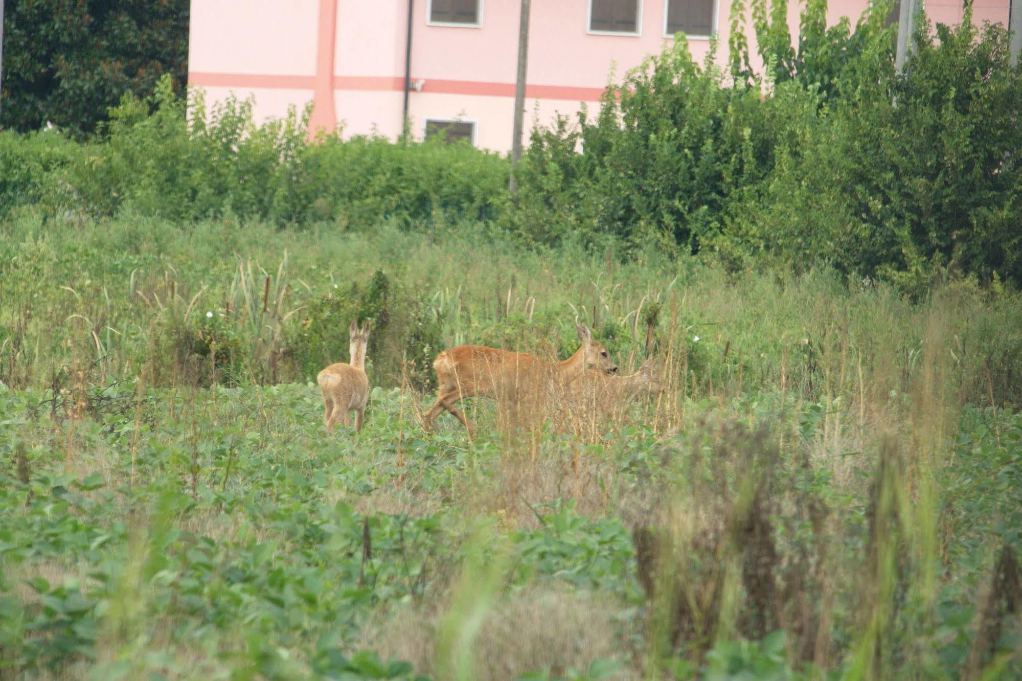 Veneta 3* Vicenza