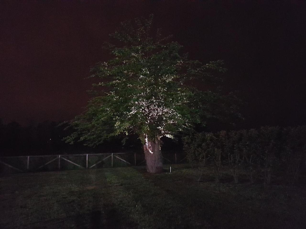 Veneta Gasthof Vicenza